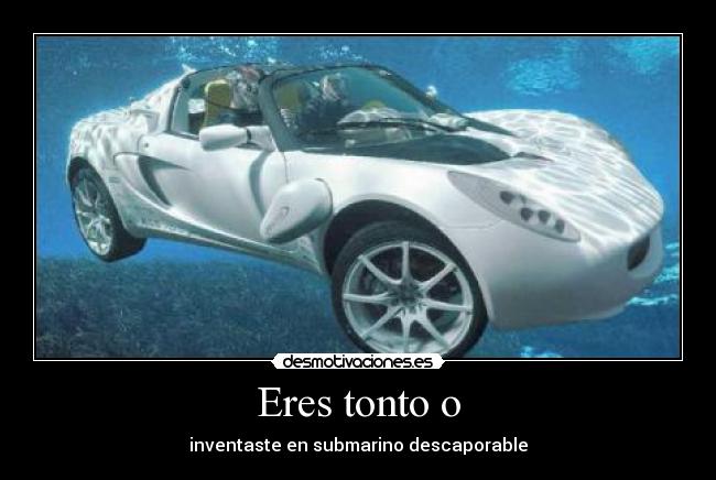 Eres tonto o - inventaste en submarino descaporable