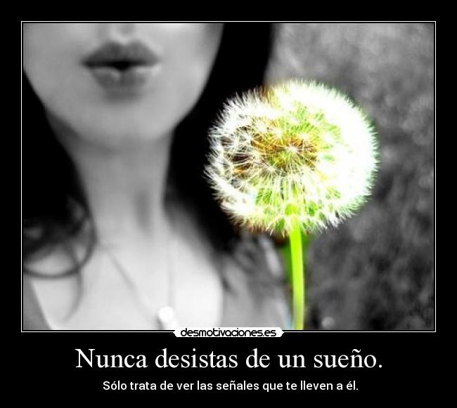 Nunca desistas de un sueño. - Sólo trata de ver las señales que te lleven a él.