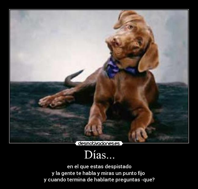 Días... - en el que estas despistado
y la gente te habla y miras un punto fijo
y cuando termina de hablarte preguntas -que?