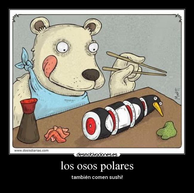 los osos polares - 