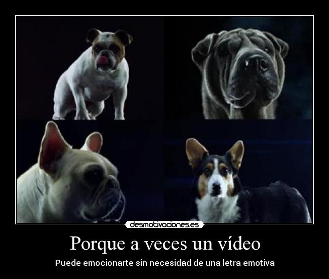 Porque a veces un vídeo - Puede emocionarte sin necesidad de una letra emotiva