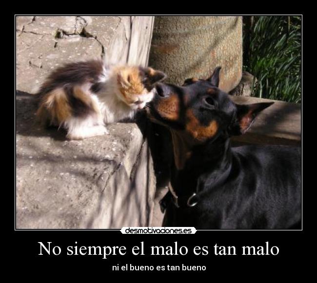 No siempre el malo es tan malo -