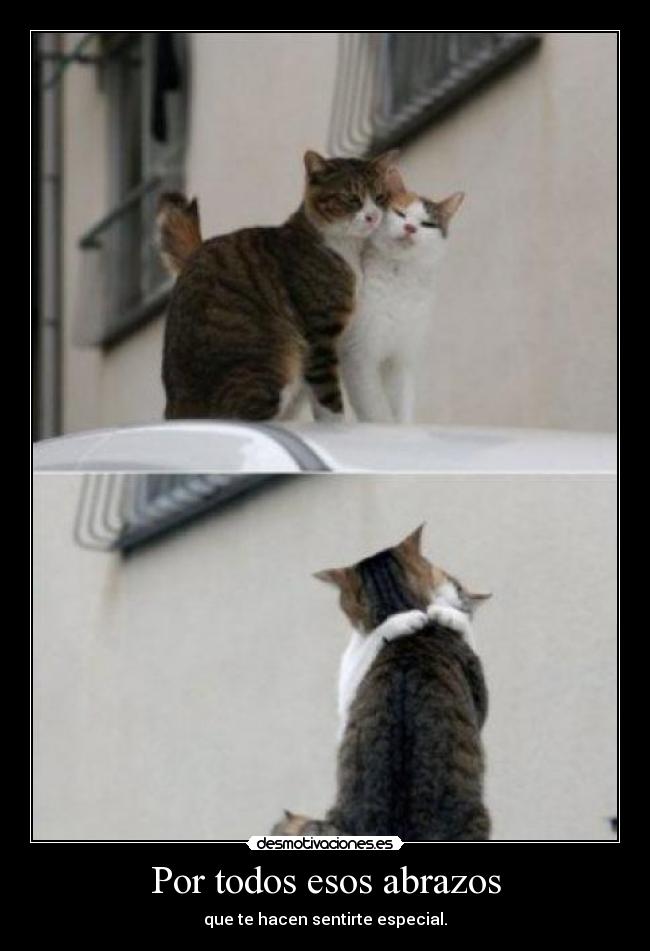 Por todos esos abrazos - 