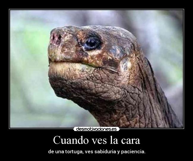 Cuando ves la cara - 