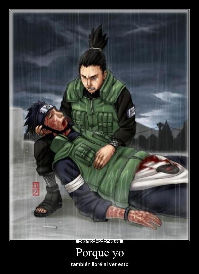 Porque yo - también lloré al ver esto