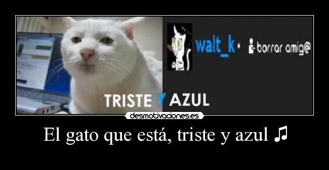 El gato que está, triste y azul ♫ - 