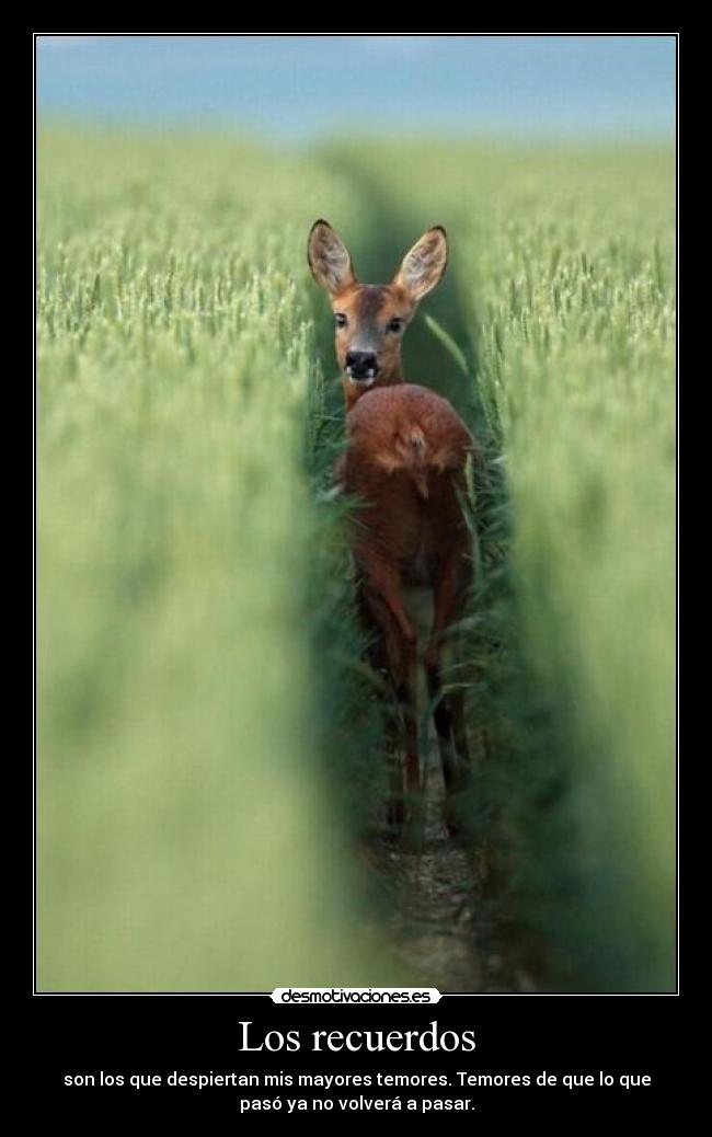 Los recuerdos - son los que despiertan mis mayores temores. Temores de que lo que
pasó ya no volverá a pasar.