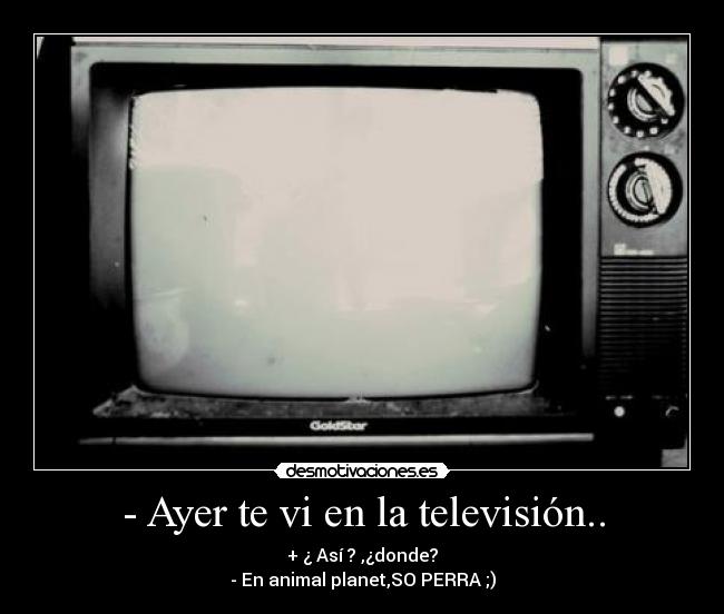 - Ayer te vi en la televisión.. - + ¿ Así ? ,¿donde?
- En animal planet,SO PERRA ;)