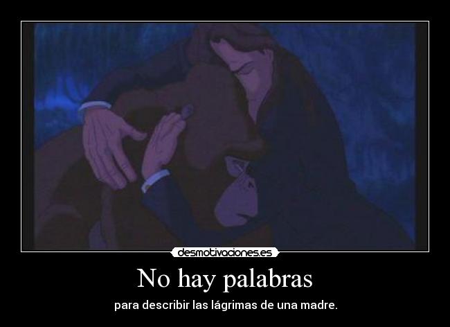 No hay palabras - para describir las lágrimas de una madre.
