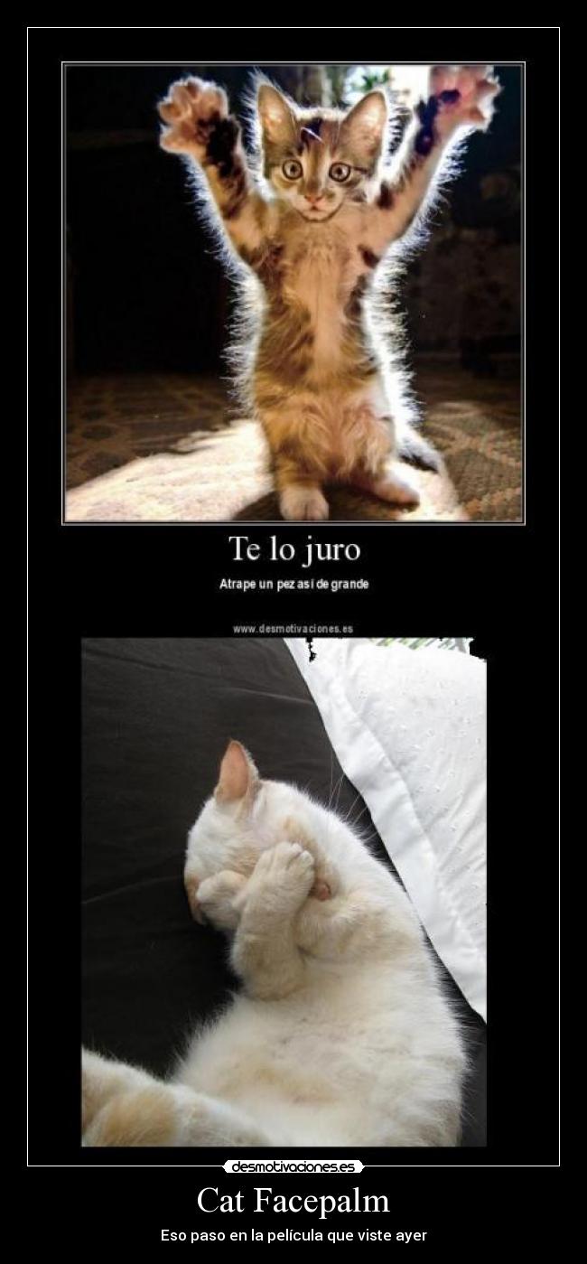 Cat Facepalm - Eso paso en la película que viste ayer