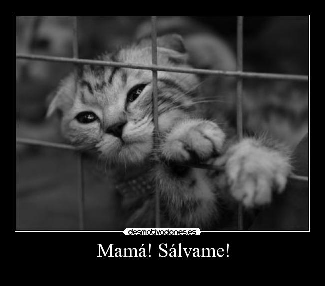 Mamá! Sálvame! -
