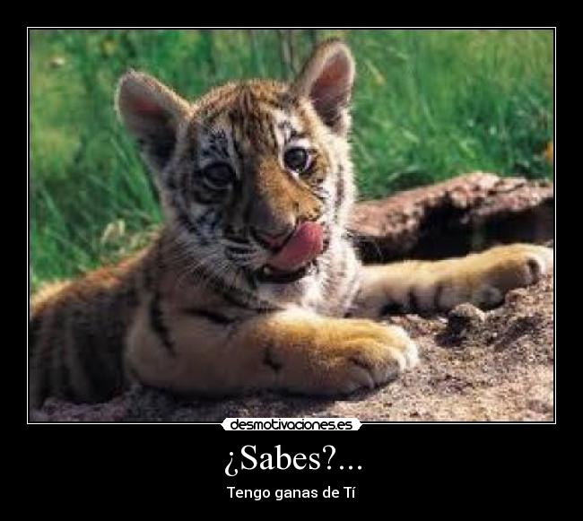¿Sabes?... - 