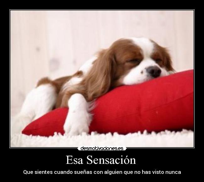 Esa Sensación - Que sientes cuando sueñas con alguien que no has visto nunca