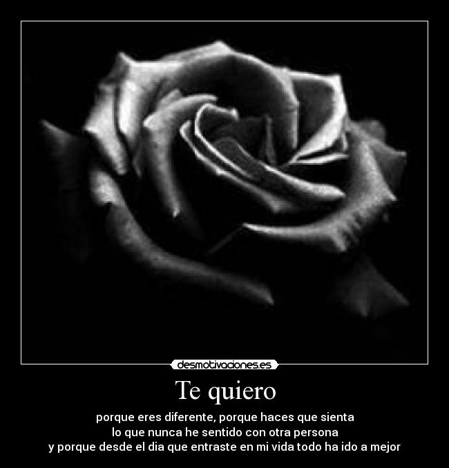 Te quiero - porque eres diferente, porque haces que sienta
lo que nunca he sentido con otra persona
y porque desde el dia que entraste en mi vida todo ha ido a mejor