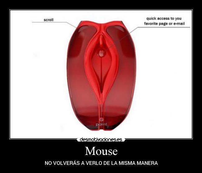 Mouse -