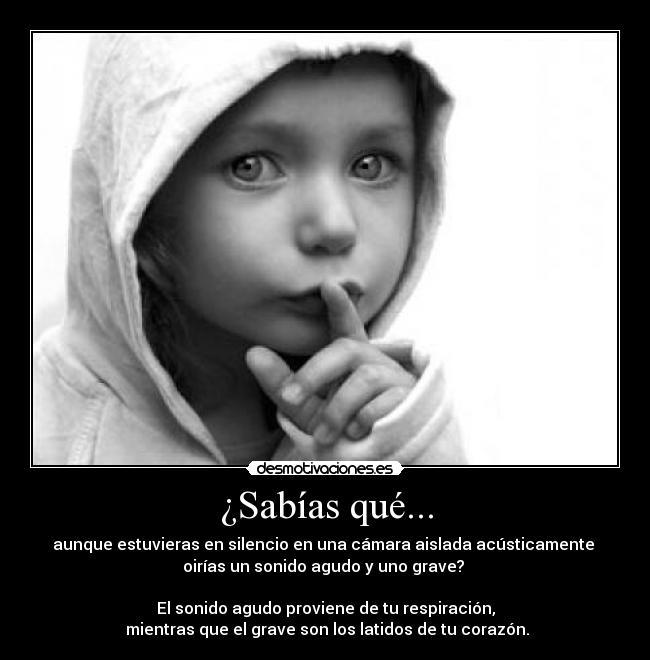 ¿Sabías qué... - aunque estuvieras en silencio en una cámara aislada acústicamente
oirías un sonido agudo y uno grave?
El sonido agudo proviene de tu respiración,
mientras que el grave son los latidos de tu corazón.