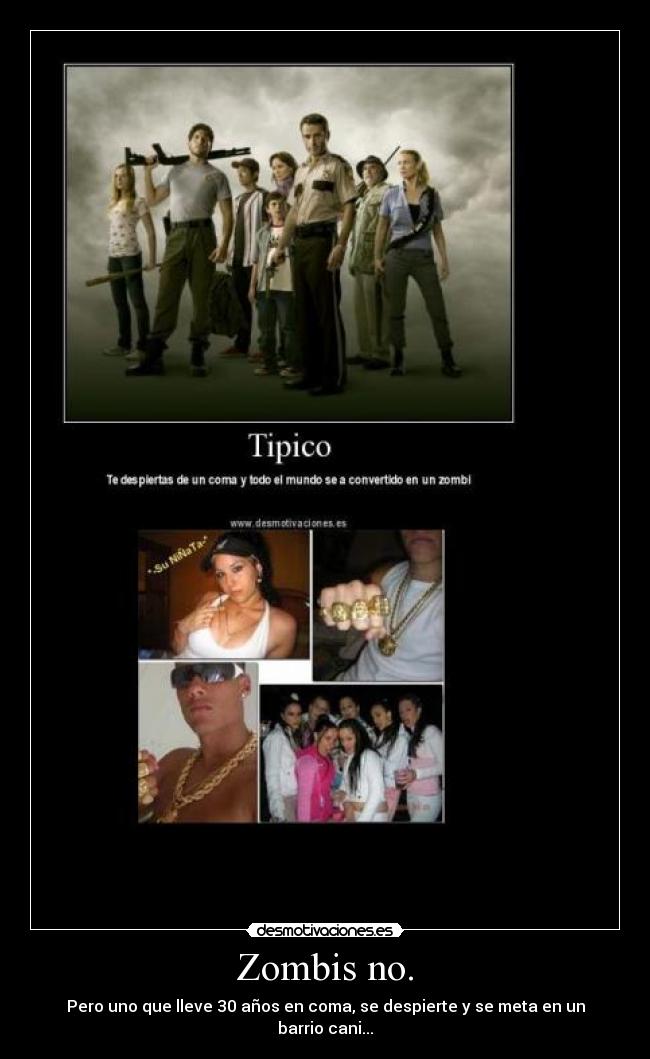 Zombis no. - Pero uno que lleve 30 años en coma, se despierte y se meta en un barrio cani...