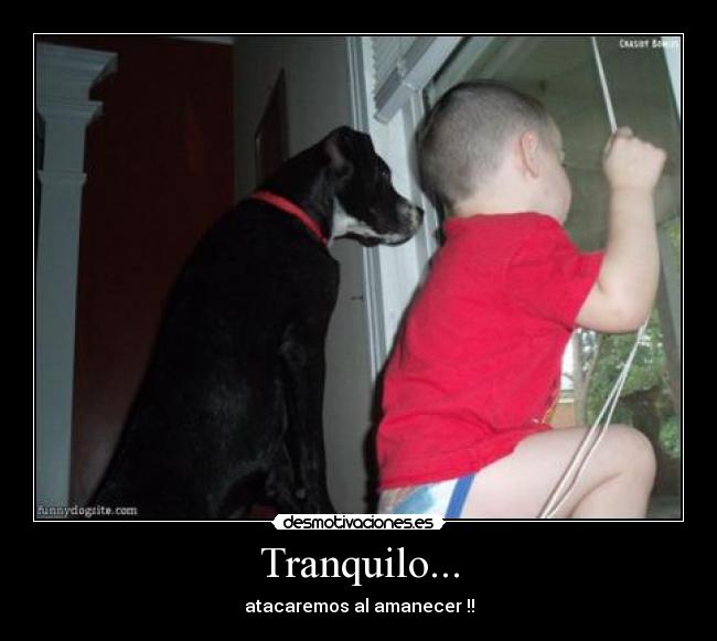 Tranquilo... - 