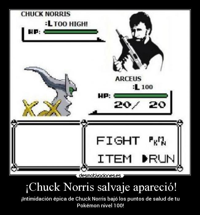 ¡Chuck Norris salvaje apareció! - 