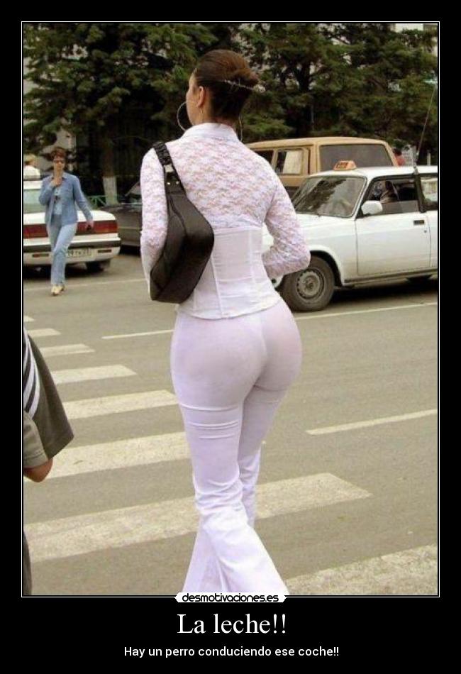 La leche!! - Hay un perro conduciendo ese coche!!