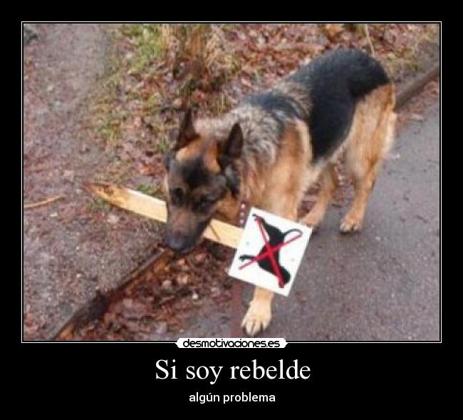 Si soy rebelde - algún problema
