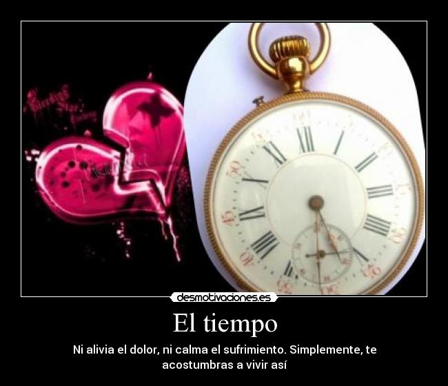 El tiempo - Ni alivia el dolor, ni calma el sufrimiento. Simplemente, te acostumbras a vivir así