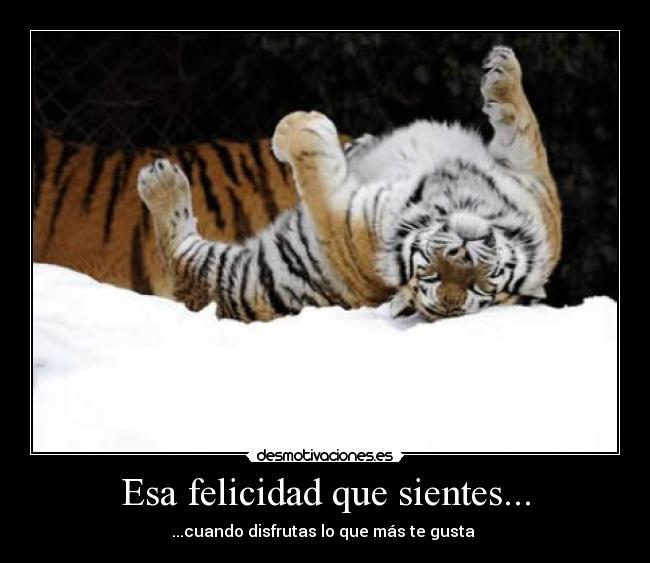 Esa felicidad que sientes... -