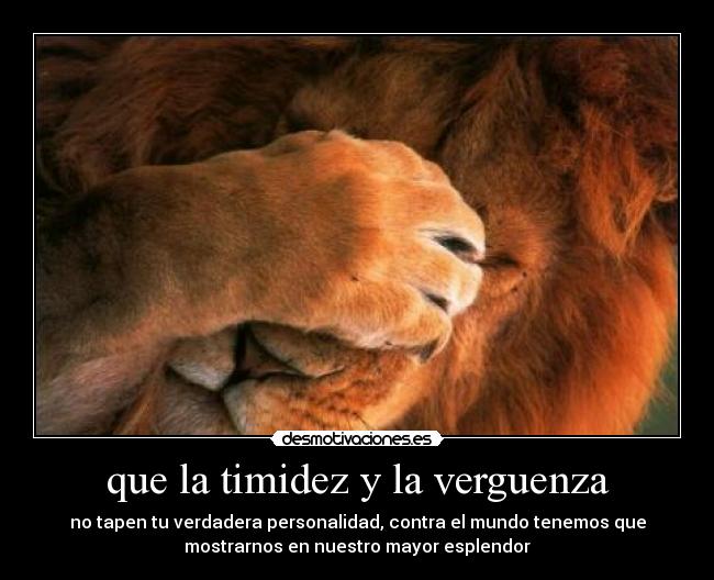 que la timidez y la verguenza - no tapen tu verdadera personalidad, contra el mundo tenemos que
mostrarnos en nuestro mayor esplendor