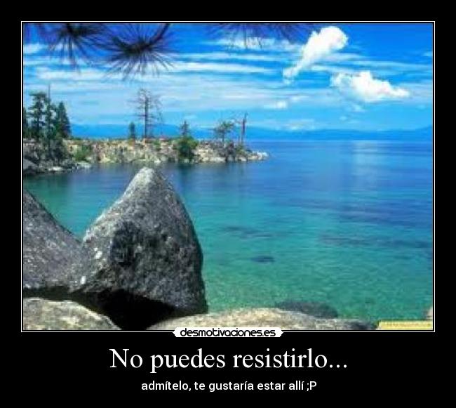 carteles lovee desmotivaciones