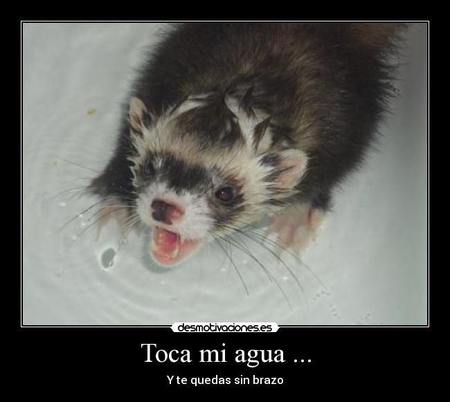 carteles foto cedida por usuaria huroncilla desmotivaciones