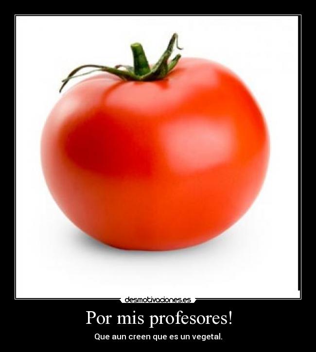 Por mis profesores! - Que aun creen que es un vegetal.