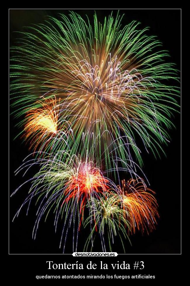 Tontería de la vida #3 -