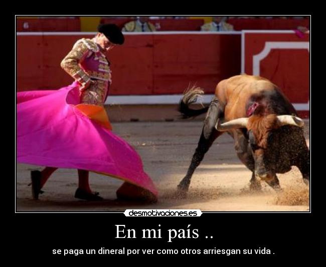 En mi país .. - se paga un dineral por ver como otros arriesgan su vida .