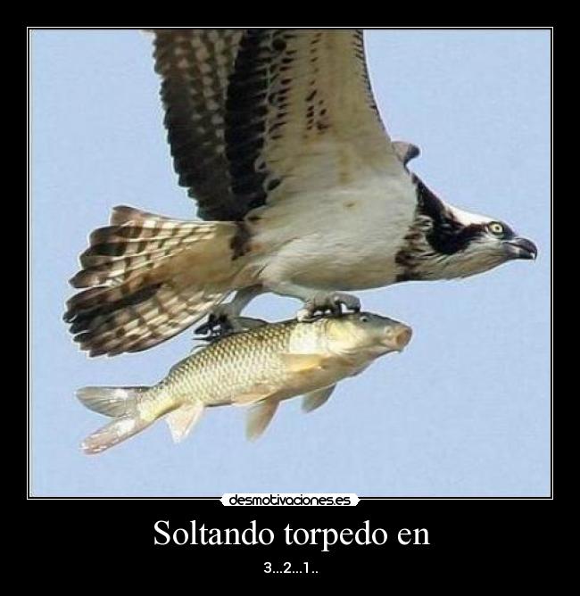 Soltando torpedo en - 3...2...1..