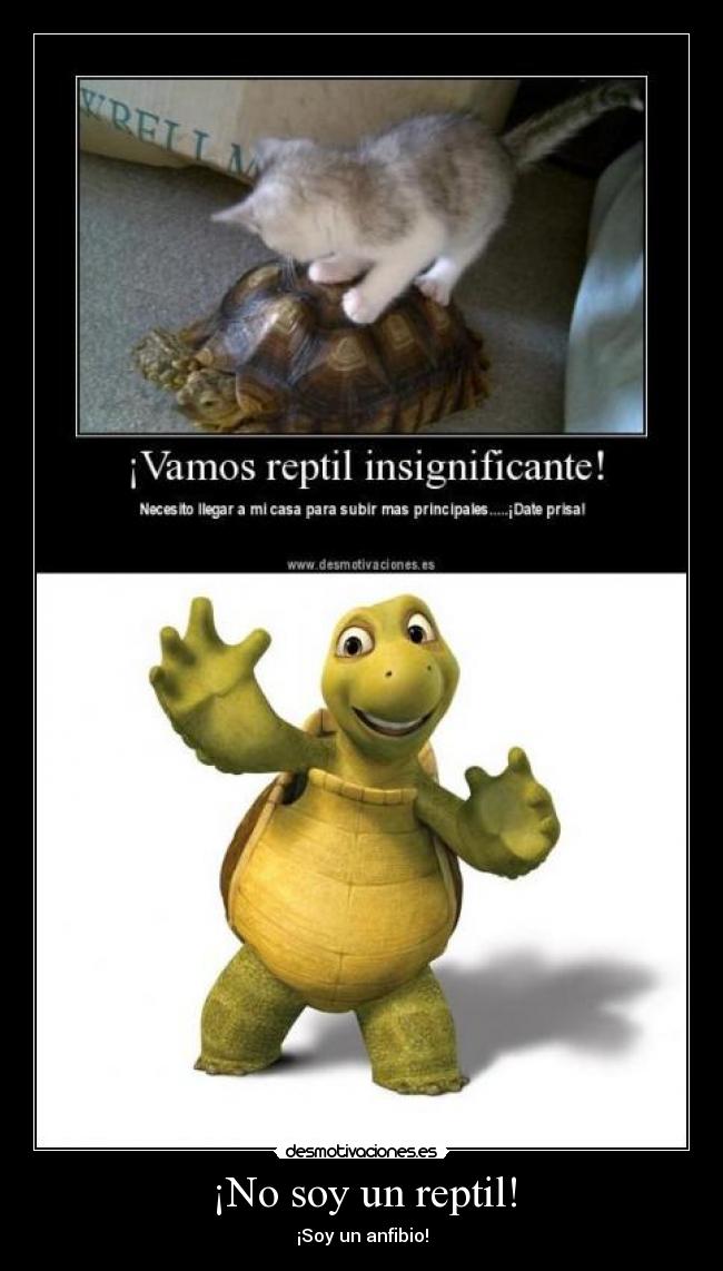 ¡No soy un reptil! -