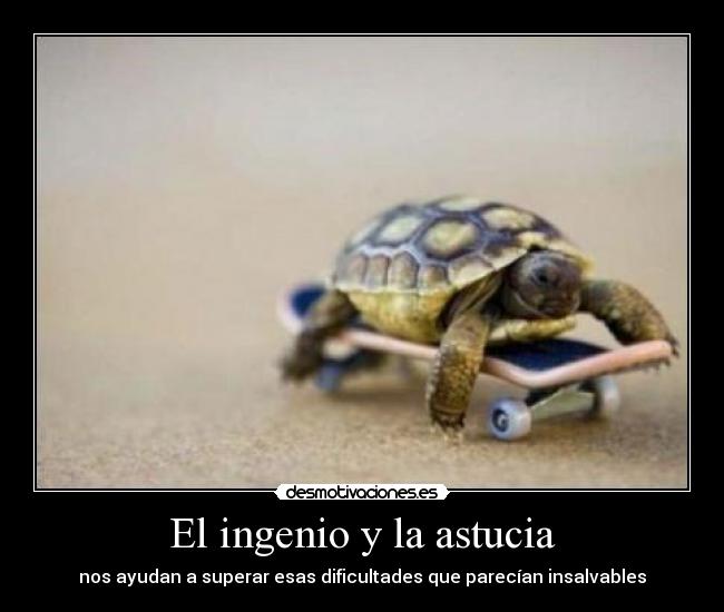 carteles tortuga monopatin ingenio astucia dificultades desmotivaciones
