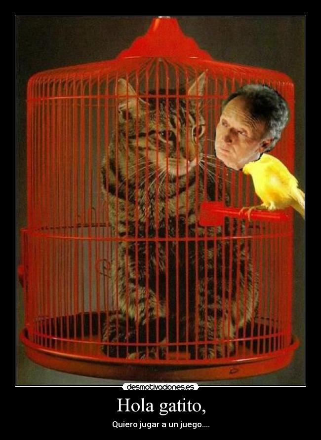 Hola gatito, -