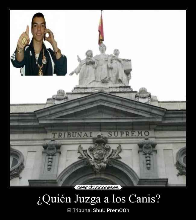 ¿Quién Juzga a los Canis? - El Tribunal ShuU PremOOh