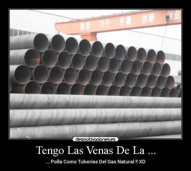 Tengo Las Venas De La ... - 