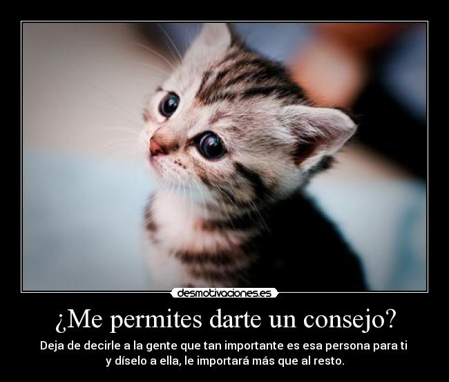 ¿Me permites darte un consejo? - 