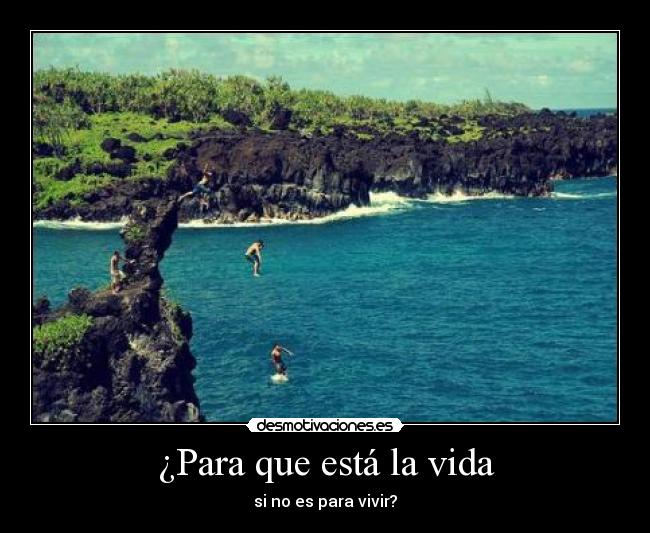 ¿Para que está la vida -