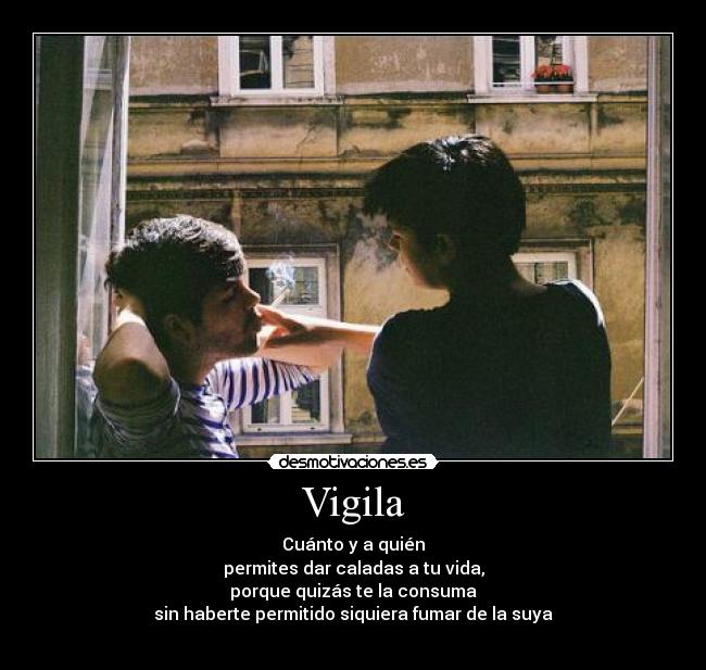 Vigila -