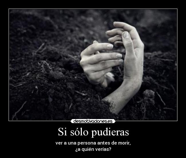 Si sólo pudieras -