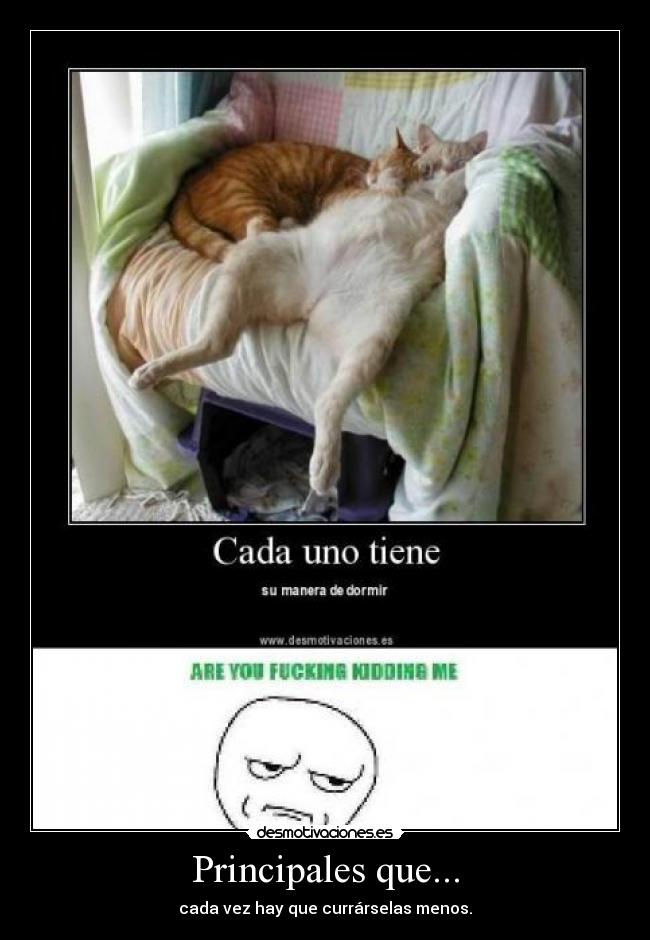 carteles tags walt_k desmotivaciones