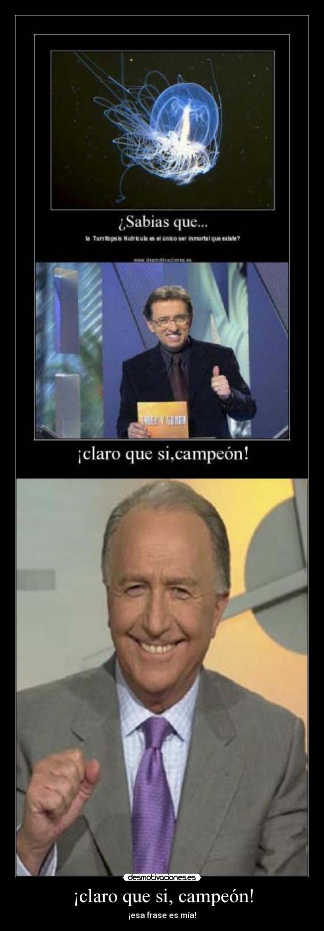 ¡claro que si, campeón! - 