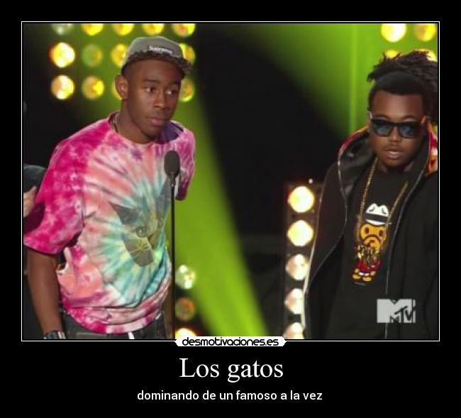 Los gatos - dominando de un famoso a la vez
