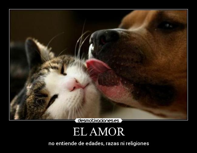 EL AMOR - no entiende de edades, razas ni religiones