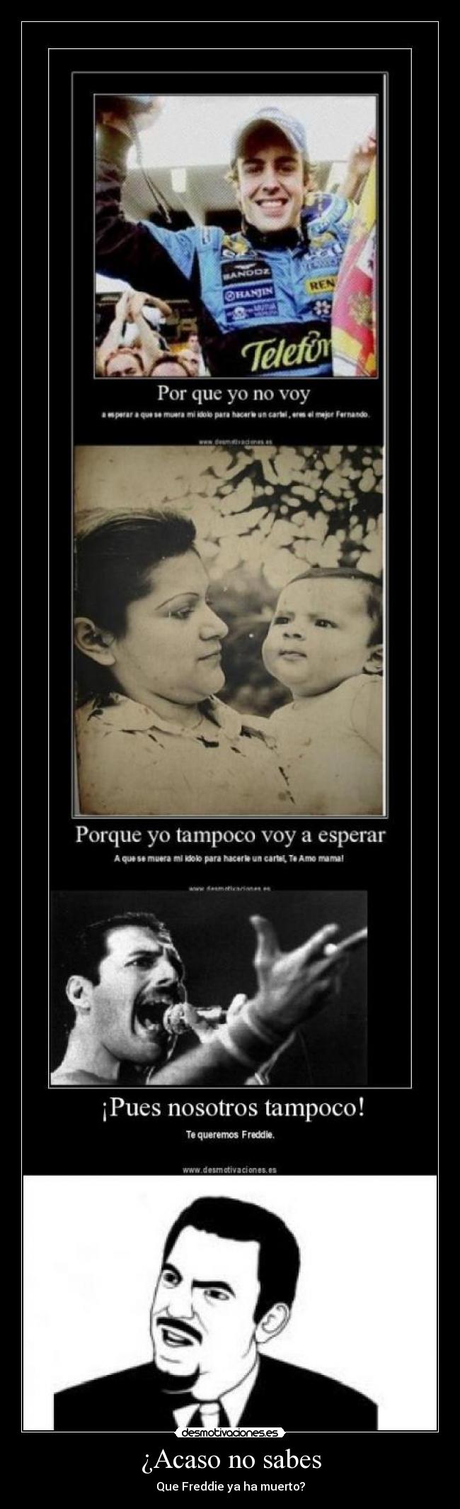 carteles david silverman meme cartel idolo freddie mercury desmotivaciones