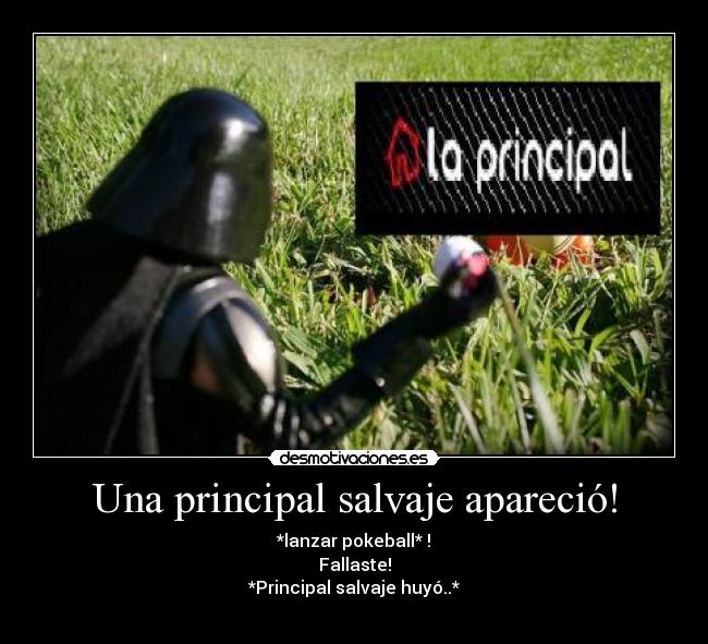 Una principal salvaje apareció! - *lanzar pokeball* !
Fallaste!
*Principal salvaje huyó..*
