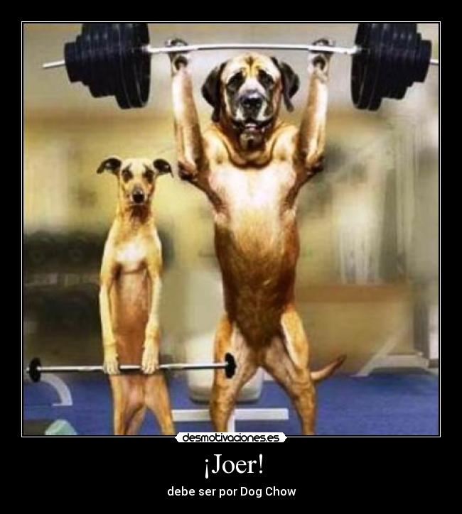 ¡Joer! - debe ser por Dog Chow